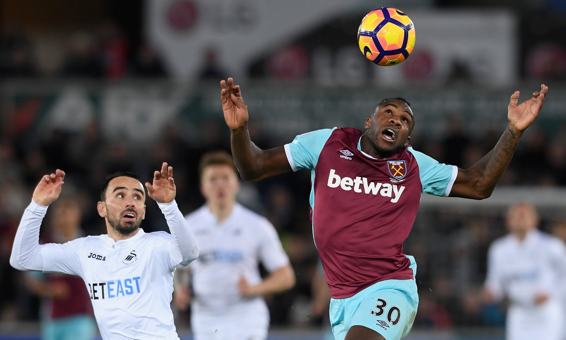 他们的快速 他们的快速