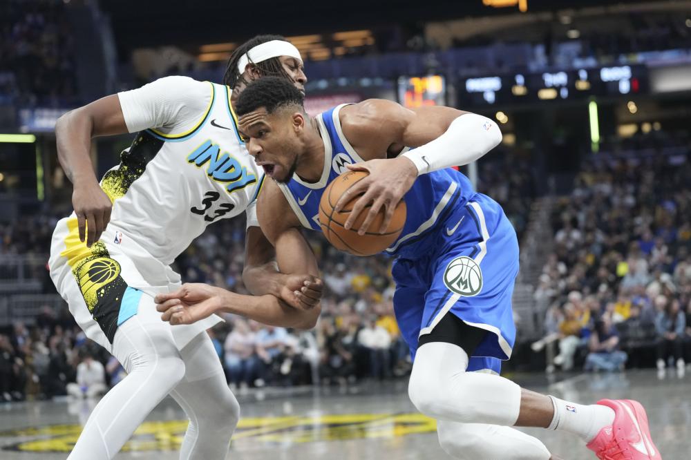 南非的橄榄 南非的橄榄